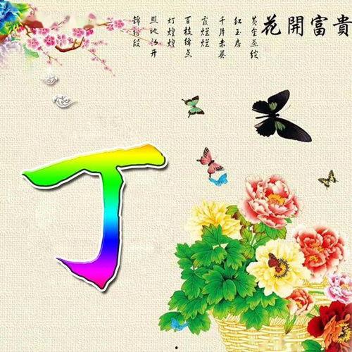 姓氏图片丁,探寻姓氏背后的历史故事