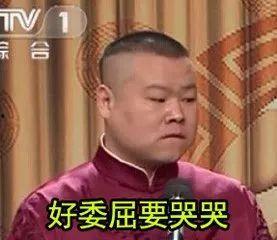 海涛表情包,网络时代的幽默风向标