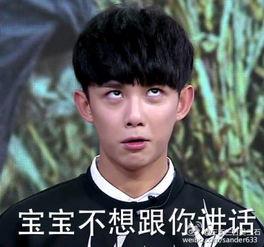 吴磊表情包动态,笑点满满，表情包界的“开心果”